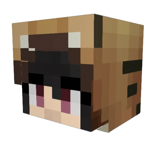WhatInTheChap Minecraft avatar head, 3D render