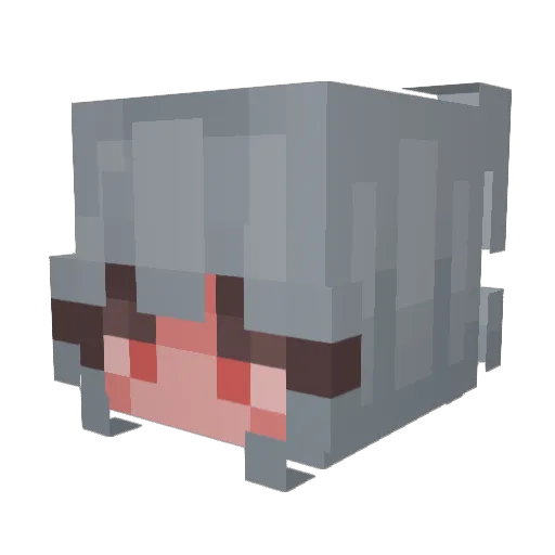WhatIsPoc Minecraft avatar head, 3D render