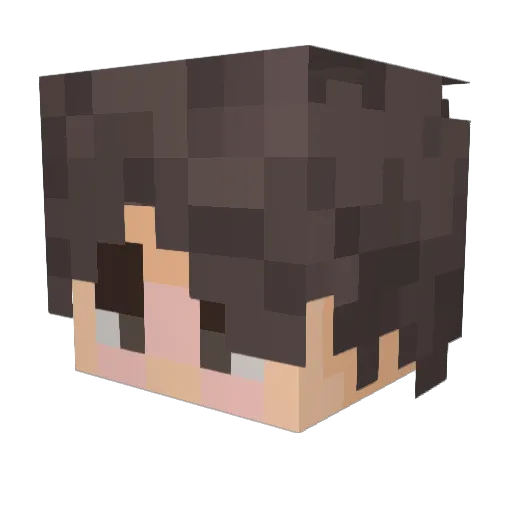 WhatIsTheChaos Minecraft avatar head, 3D render