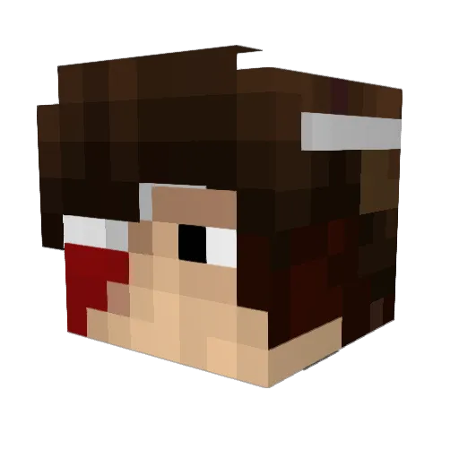 WhatSoundsCools Minecraft avatar head, 3D render