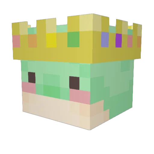 WhatTheForecast Minecraft avatar head, 3D render