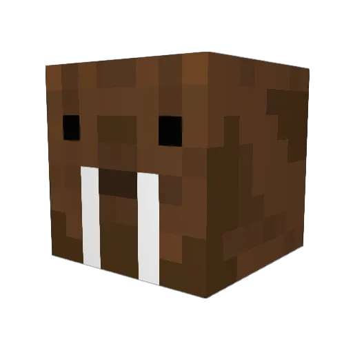 WhatTheHeck2 Minecraft avatar head, 3D render