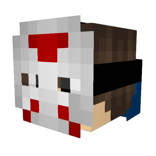WhatUpMyNeegr Minecraft avatar head, 3D render