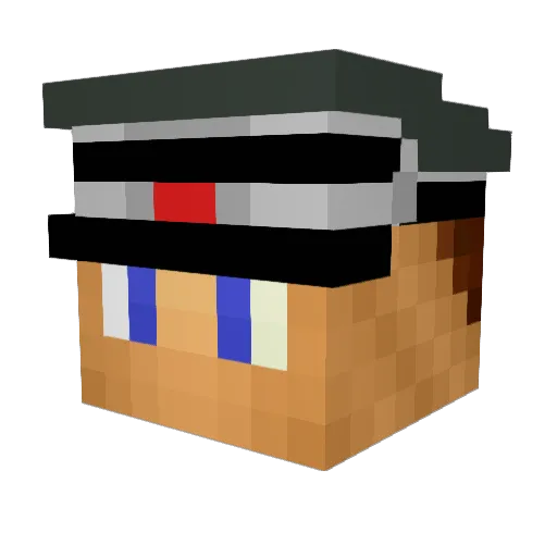 WhatWhatWhatWhat Minecraft avatar head, 3D render