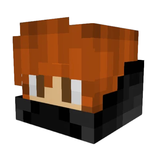 WhatYouDoingKid Minecraft avatar head, 3D render