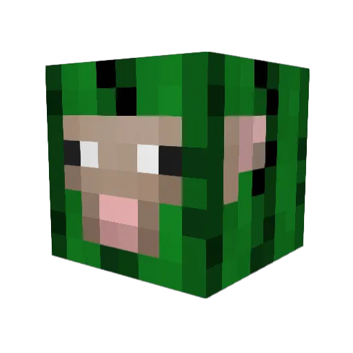 What_Dog_Doin Minecraft avatar head, 3D render
