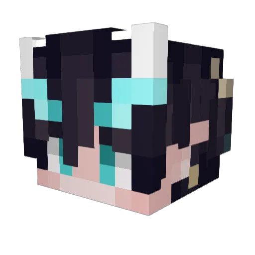 Whatever650 Minecraft avatar head, 3D render