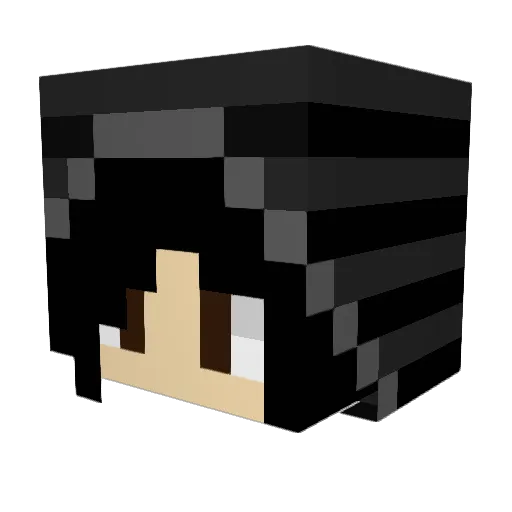 Whatever982 Minecraft avatar head, 3D render