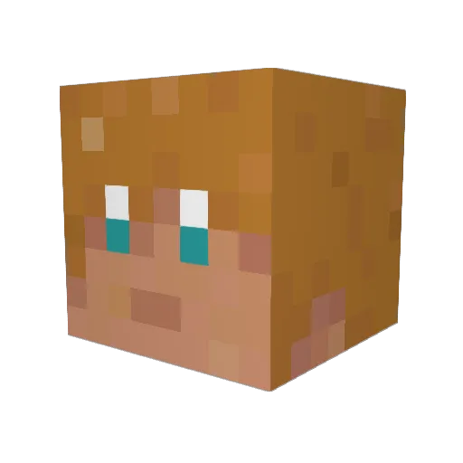 Whatismyname77 Minecraft avatar head, 3D render