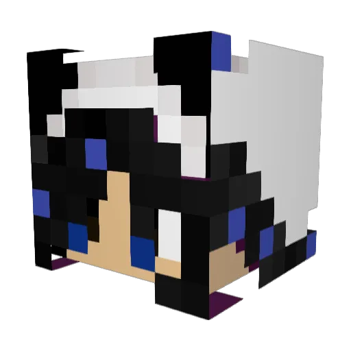 Whats4LunchH Minecraft avatar head, 3D render