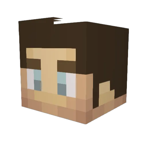 WhatsAnOwl Minecraft avatar head, 3D render