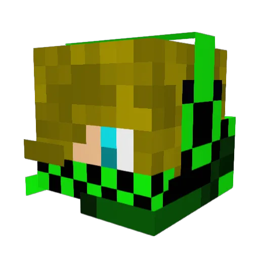 WhatsGassin Minecraft avatar head, 3D render
