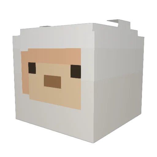 WhatsHisFace0 Minecraft avatar head, 3D render
