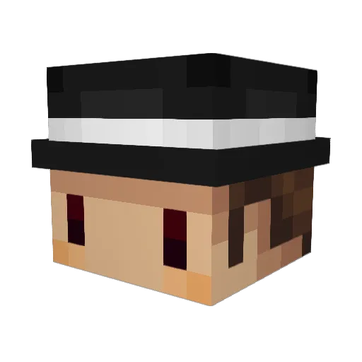 WhatsSagma Minecraft avatar head, 3D render