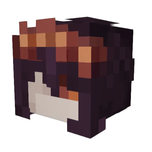 Whatsfordinner77 Minecraft avatar head, 3D render