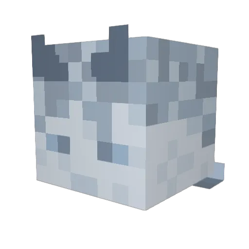 Whatsis_ Minecraft avatar head, 3D render