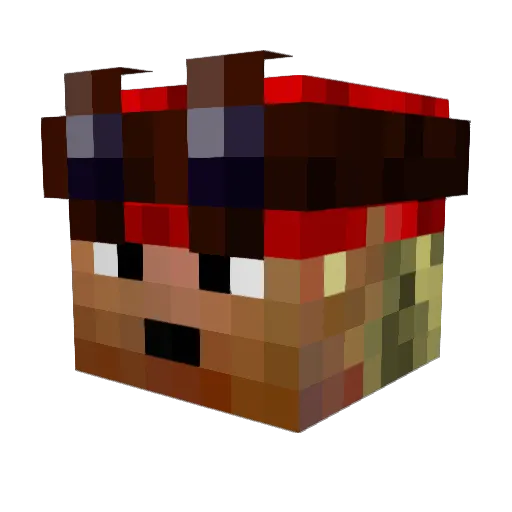 Whatsitsay Minecraft avatar head, 3D render