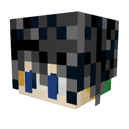Whatupwillis Minecraft avatar head, 3D render