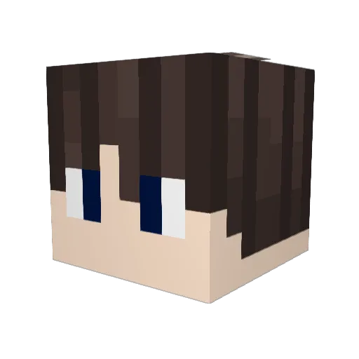 Wheatcamp Minecraft avatar head, 3D render