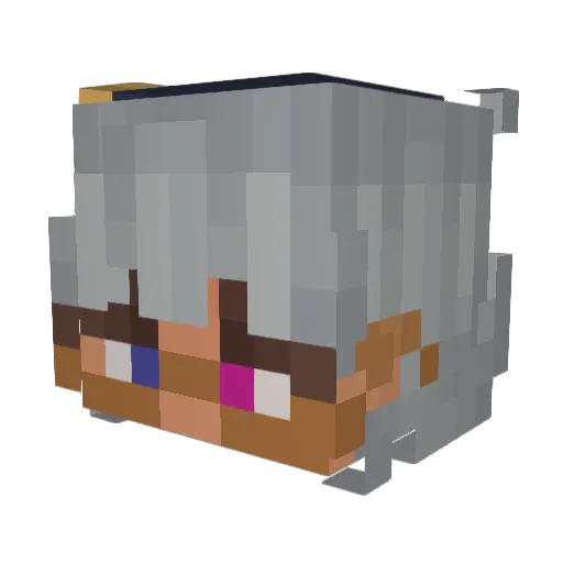 Wheekling Minecraft avatar head, 3D render