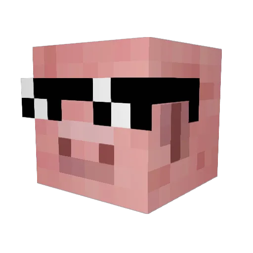 WheelChair9 Minecraft avatar head, 3D render