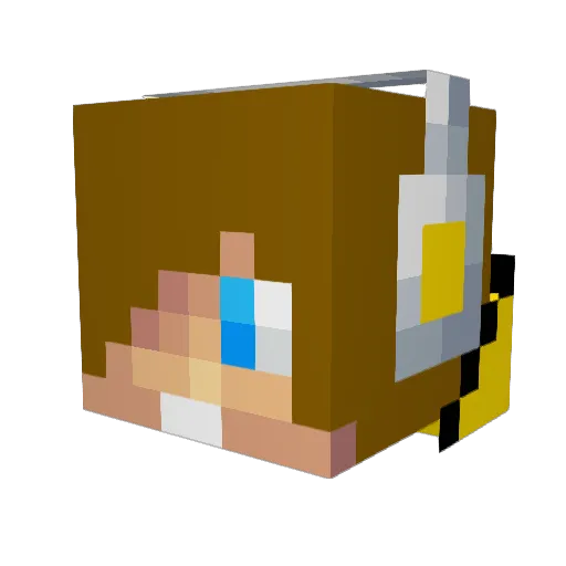 WheelChairBoy69 Minecraft avatar head, 3D render