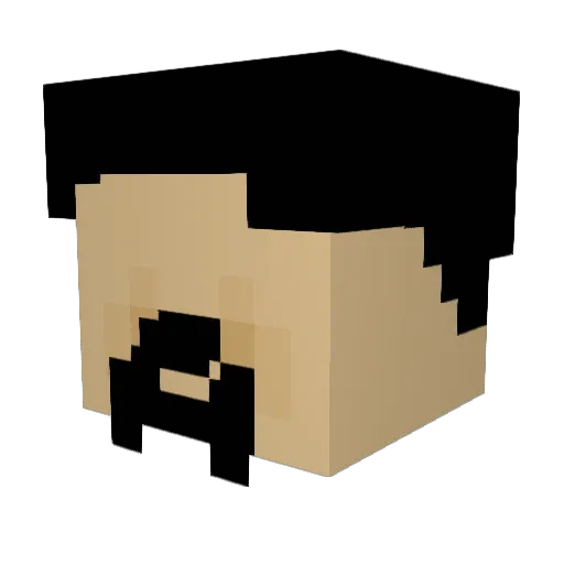 WheelFly1480 Minecraft avatar head, 3D render