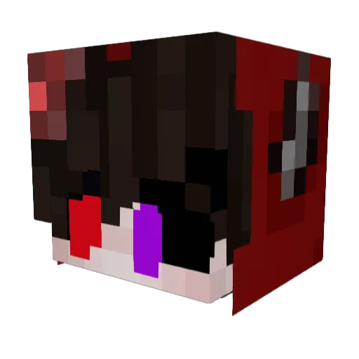 WheelerTaz Minecraft avatar head, 3D render