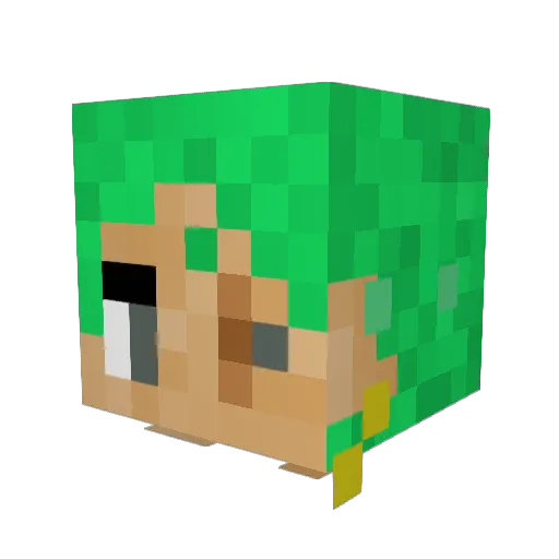 Wheels928 Minecraft avatar head, 3D render