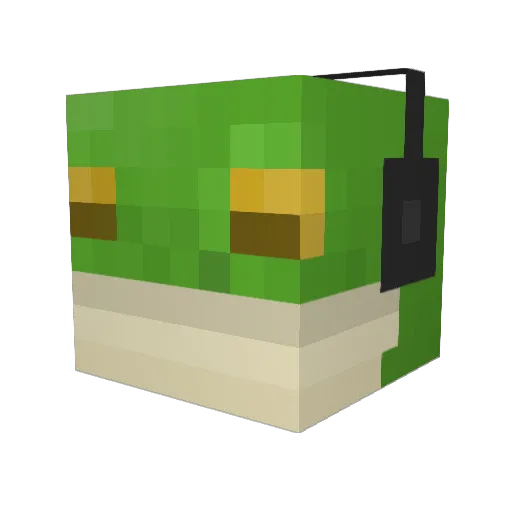 WheeziestAphid Minecraft avatar head, 3D render