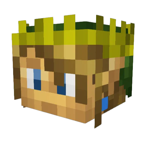 WheezyJack Minecraft avatar head, 3D render