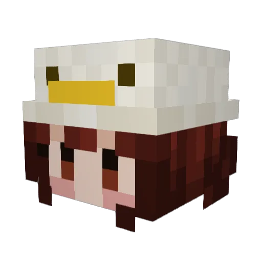 Wheezy_Boy Minecraft avatar head, 3D render