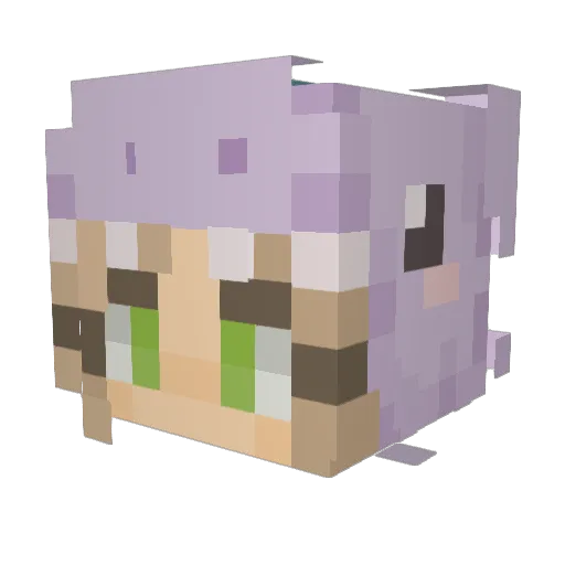 WhenRosesFall Minecraft avatar head, 3D render