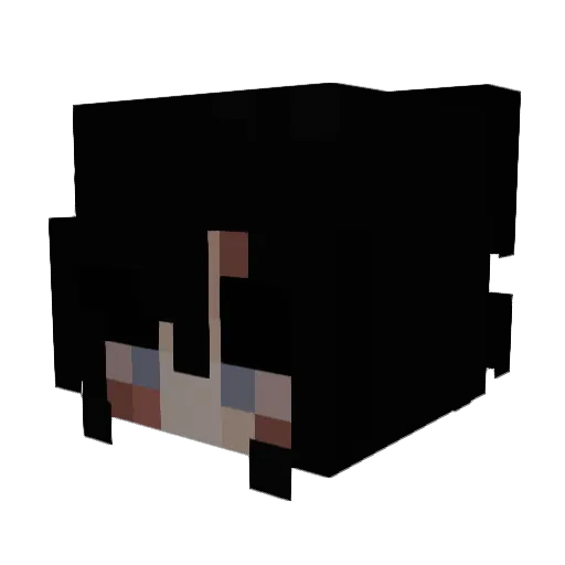 WhereIsJames_ Minecraft avatar head, 3D render