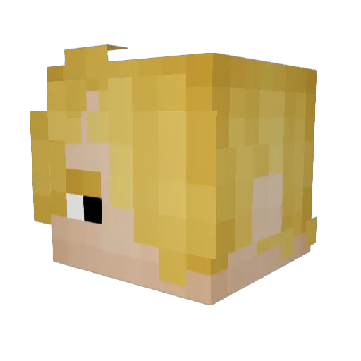 WhereRNG Minecraft avatar head, 3D render