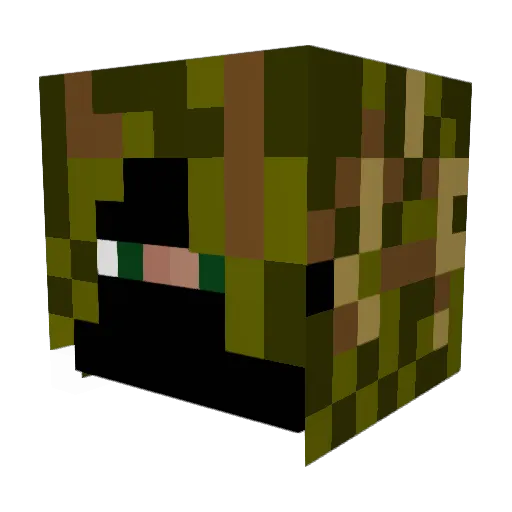 WheresMyArm Minecraft avatar head, 3D render