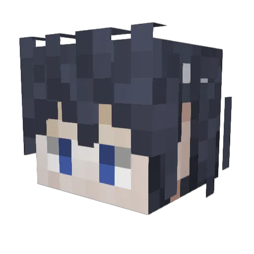 WheresOzzy Minecraft avatar head, 3D render
