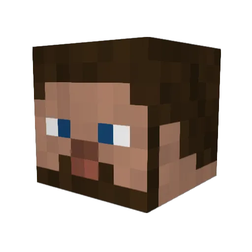 Whetnoodle Minecraft avatar head, 3D render