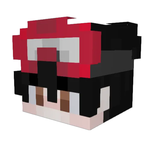 Whh206 Minecraft avatar head, 3D render