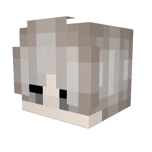 Whikipedia Minecraft avatar head, 3D render