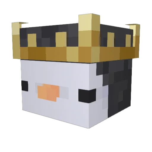 Whiley13 Minecraft avatar head, 3D render