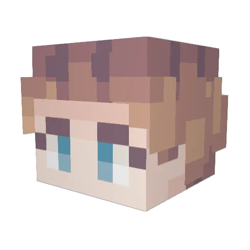 Whimbrell Minecraft avatar head, 3D render
