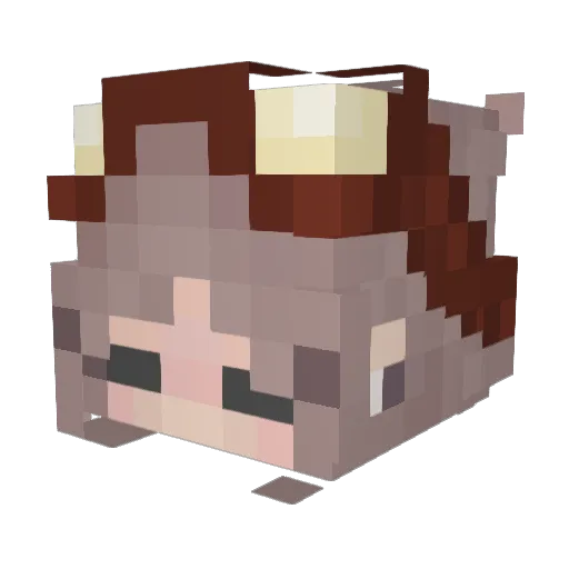 Whimorbood Minecraft avatar head, 3D render