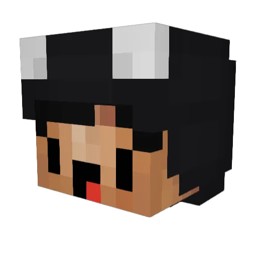 Whimpers Minecraft avatar head, 3D render