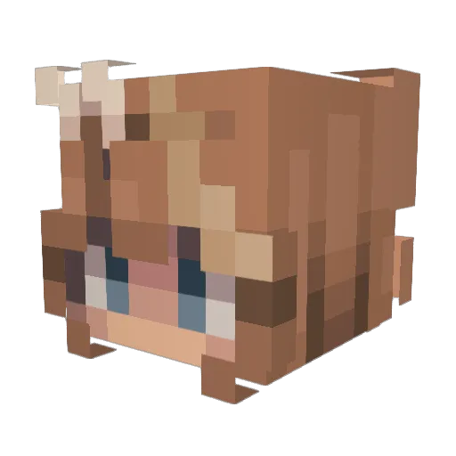 WhimsicWill Minecraft avatar head, 3D render