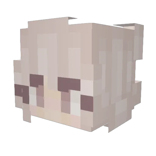 WhimsicalAnomaly Minecraft avatar head, 3D render