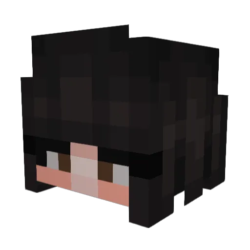 WhimsofFate Minecraft avatar head, 3D render