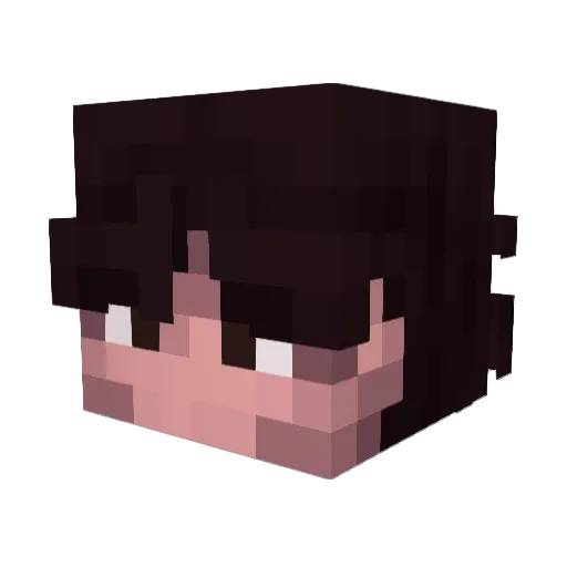 WhimsyJimsy Minecraft avatar head, 3D render