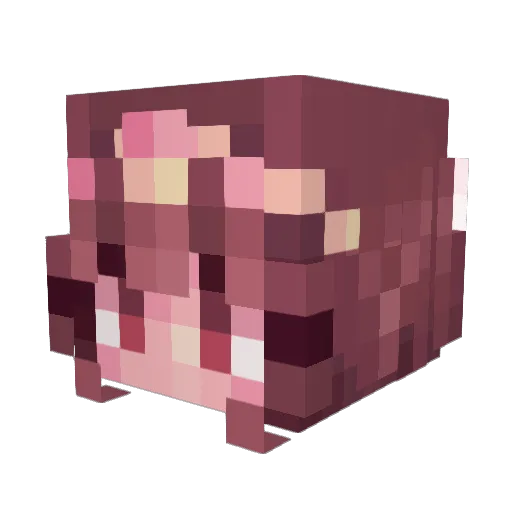 WhimsyWillows Minecraft avatar head, 3D render