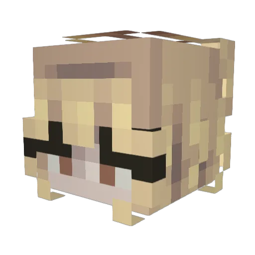 Whimsy_Water Minecraft avatar head, 3D render